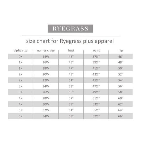 NWT Women's Ryegrass Plus Midrise Regular Fit Ankle Jeans Size 22W Button Fly$70 - Picture 5 of 9